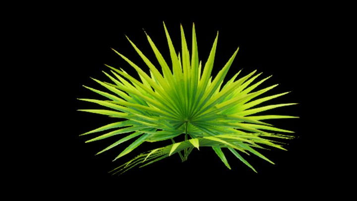 UE项目资源_模型资源_草976