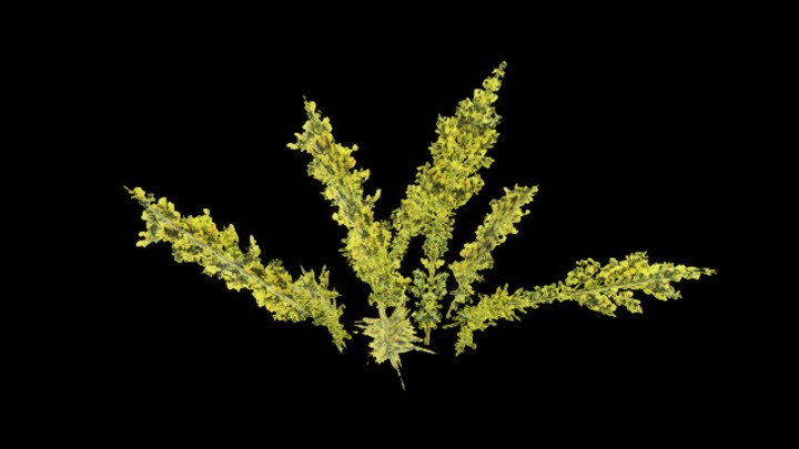 UE项目资源_模型资源_草992