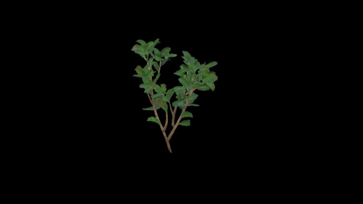 UE项目资源_模型资源_草丛019