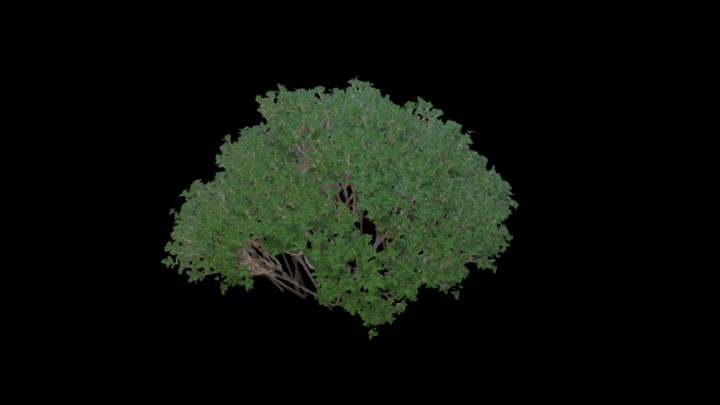 UE项目资源_模型资源_草丛023