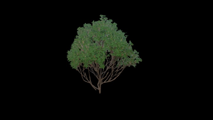 UE项目资源_模型资源_草丛024