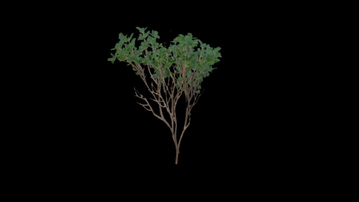 UE项目资源_模型资源_草丛031