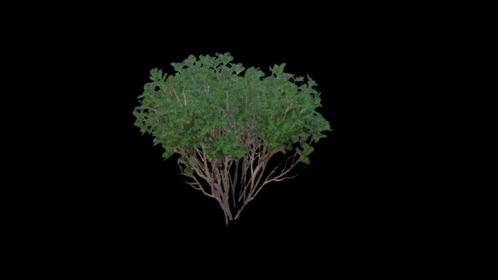 UE项目资源_模型资源_草丛034