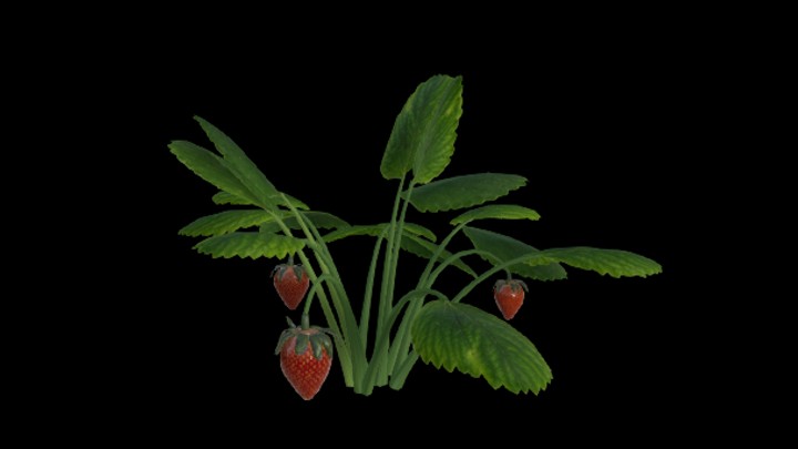 UE项目资源_模型资源_草莓002