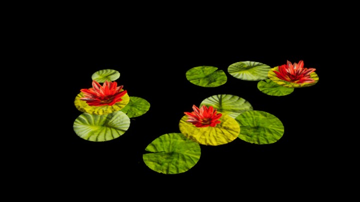 UE项目资源_模型资源_荷花003