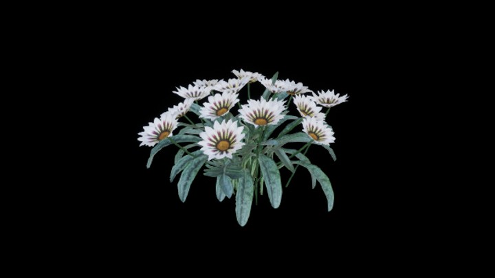 UE项目资源_模型资源_菊花001