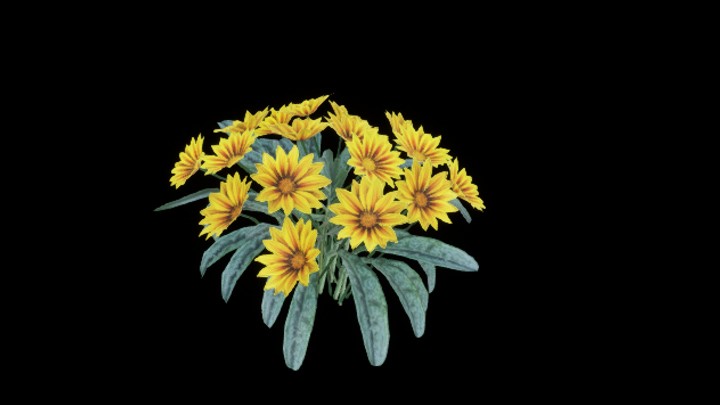 UE项目资源_模型资源_菊花006