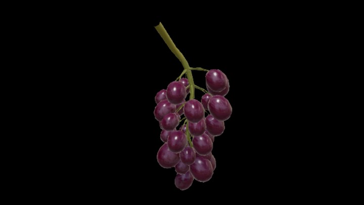 UE项目资源_模型资源_葡萄003