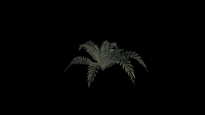 UE项目资源_模型资源_蕨叶003