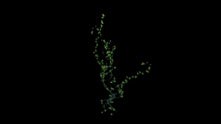 UE项目资源_模型资源_藤曼030