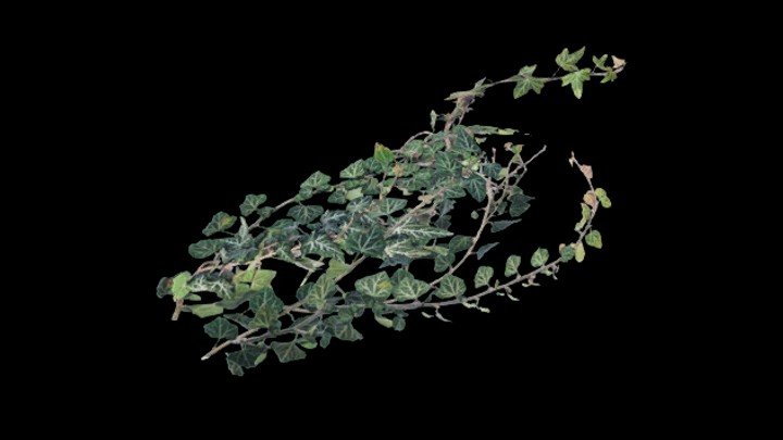 UE项目资源_模型资源_藤曼060