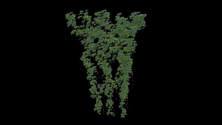 UE项目资源_模型资源_藤曼078