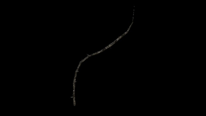 UE项目资源_模型资源_藤条001