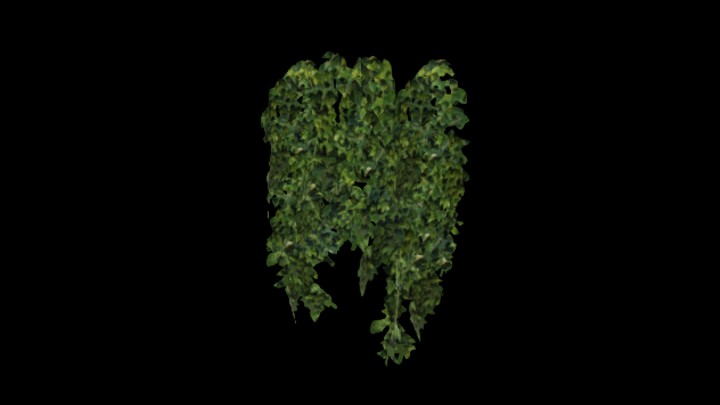 UE项目资源_模型资源_藤蔓062