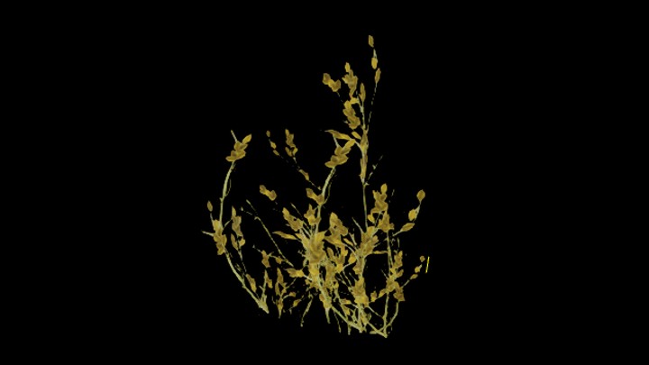 UE项目资源_模型资源_藤蔓075