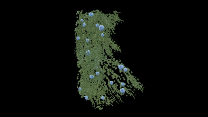 UE项目资源_模型资源_藤蔓084