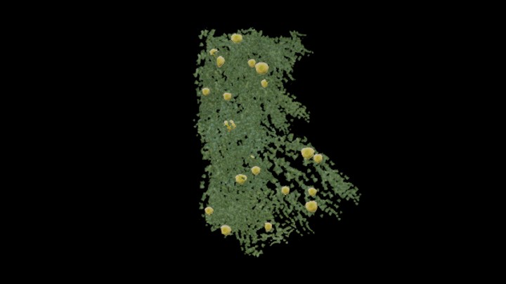 UE项目资源_模型资源_藤蔓085