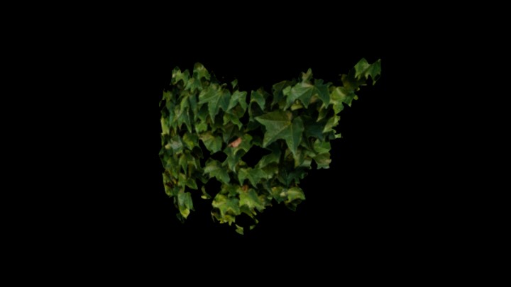 UE项目资源_模型资源_藤蔓098