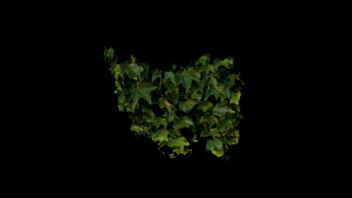 UE项目资源_模型资源_藤蔓108