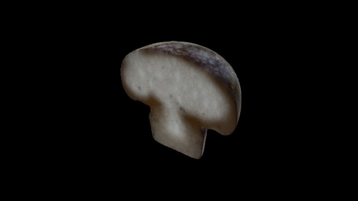 UE项目资源_模型资源_蘑菇293