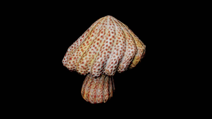 UE项目资源_模型资源_蘑菇299