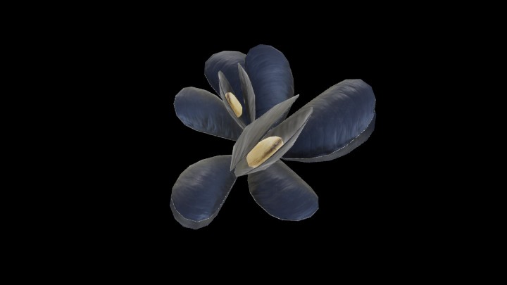 UE项目资源_模型资源_蛤蜊001