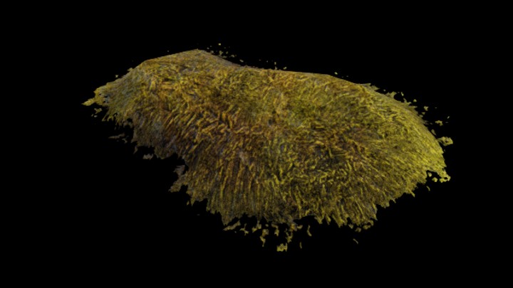 UE项目资源_模型资源_青苔石008