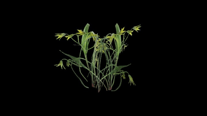 UE项目资源_模型资源_顶冰花001