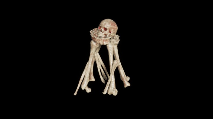 UE项目资源_模型资源_骨头069