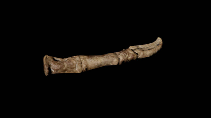 UE项目资源_模型资源_骨头102