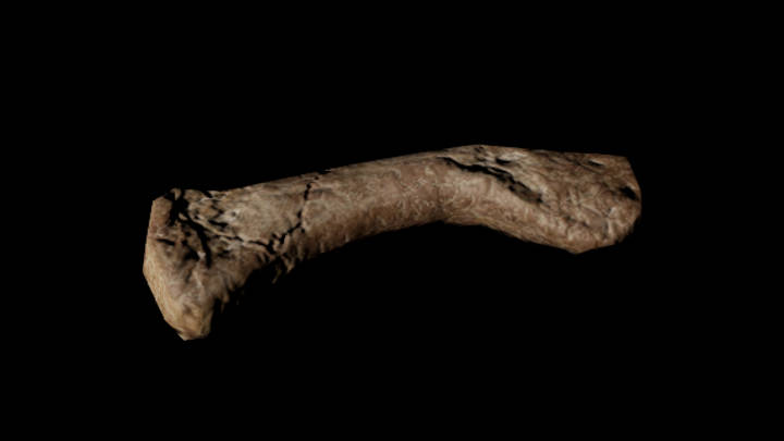 UE项目资源_模型资源_骨头105