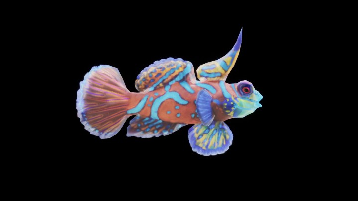 UE项目资源_模型资源_鱼075