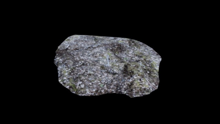 次世代_枯树堆004