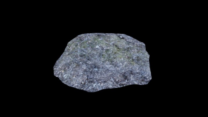 次世代_枯树堆010