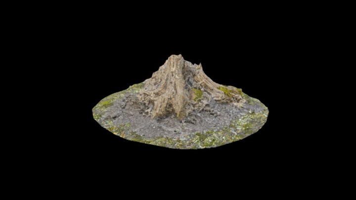 次世代_枯树堆012