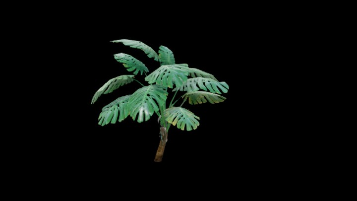 次世代_热带植物008