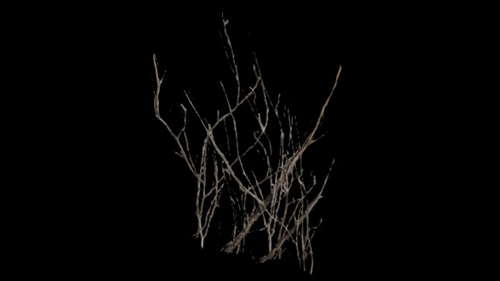 次世代_爬山虎016