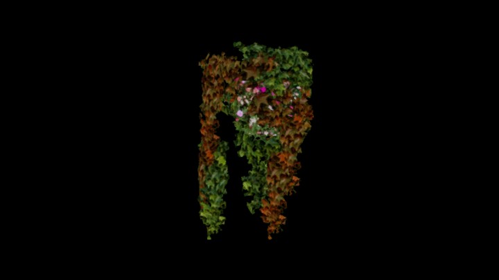 次世代_爬山虎036