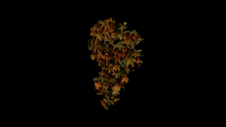 次世代_爬山虎046