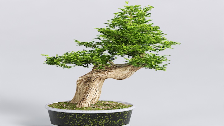 渲染模型_中式盆景003