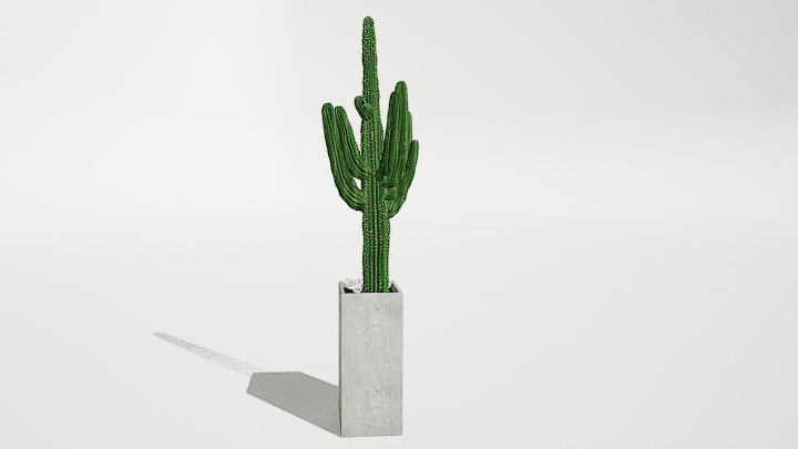 渲染模型_仙人掌盆栽003