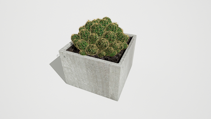 渲染模型_仙人掌盆栽004