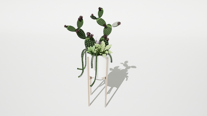 渲染模型_仙人掌盆栽019