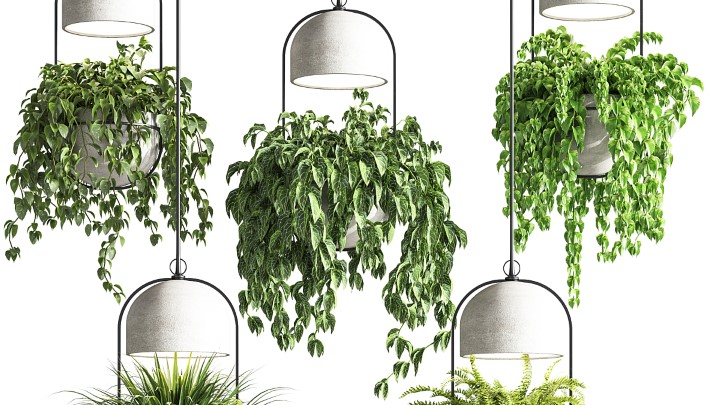 渲染模型_吊灯2173