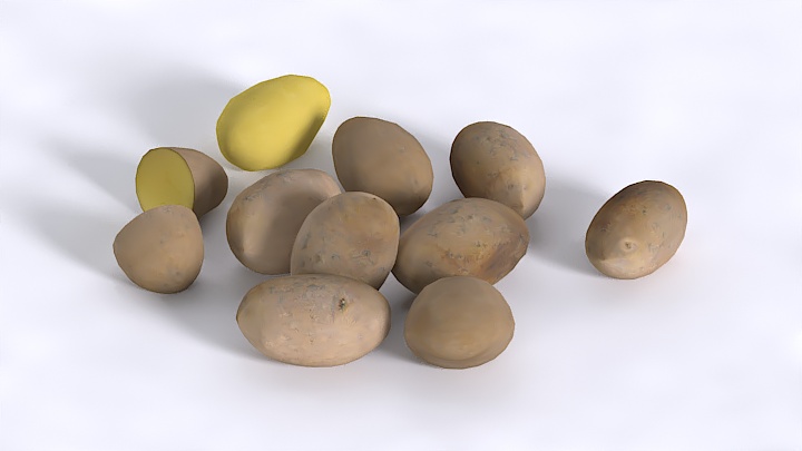 渲染模型_土豆002