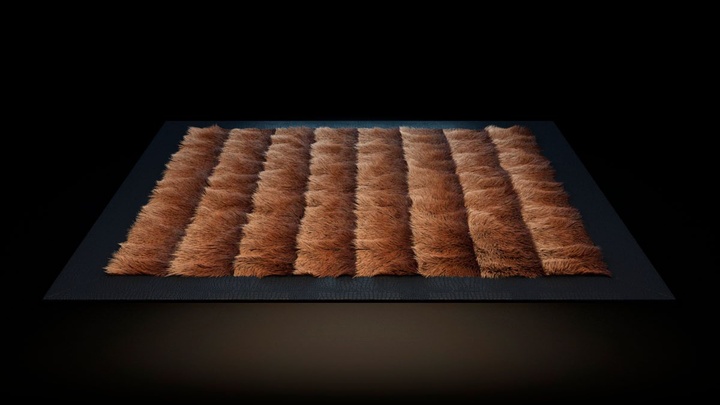 渲染模型_地毯512