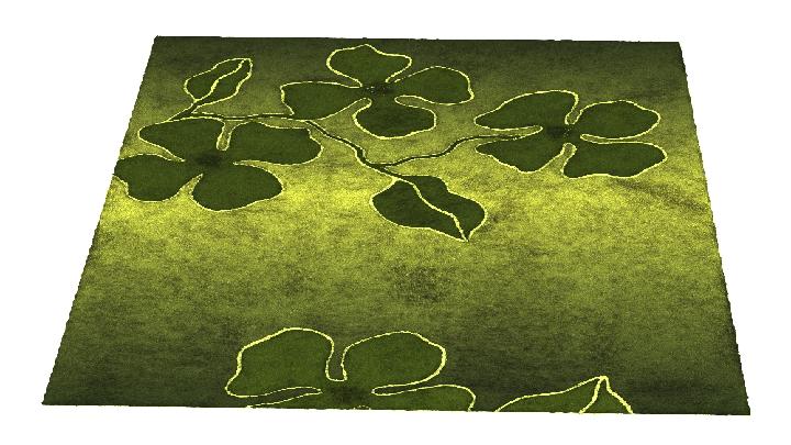 渲染模型_地毯527