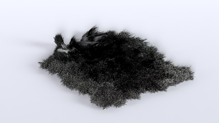 渲染模型_地毯560