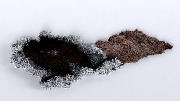 渲染模型_地毯562