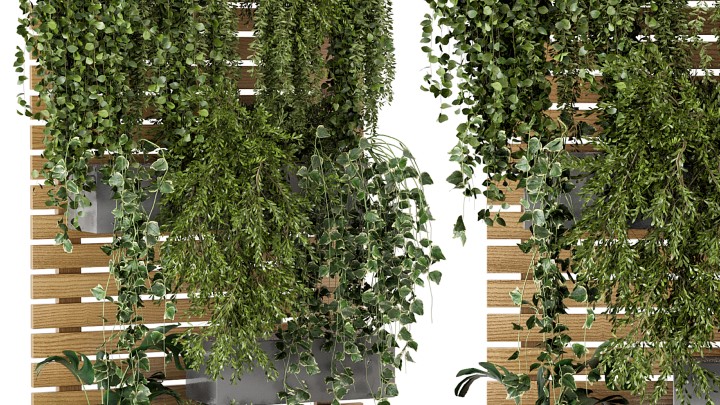 渲染模型_室内植物165